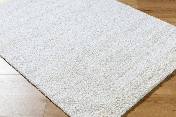 Livabliss Sacramento Shag Area Rug Plush Polyester Pile Mid-century Modern Living Room Accent White, Oatmeal 5'3" x 7' SCS2301-537