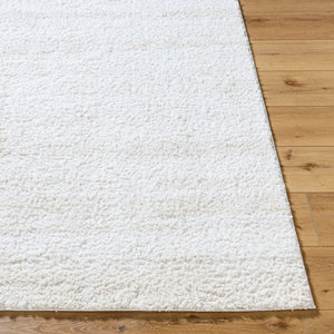 Livabliss Sacramento Shag Area Rug Plush Polyester Pile Mid-century Modern Living Room Accent White, Oatmeal 5'3" x 7' SCS2301-537