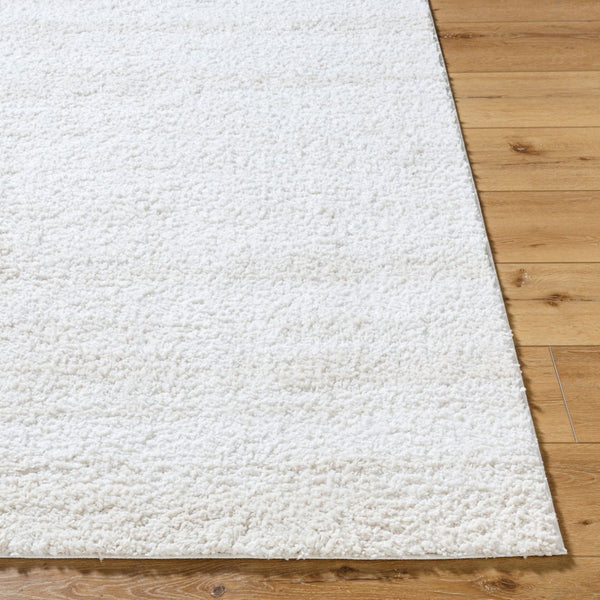 Livabliss Sacramento Shag Area Rug Plush Polyester Pile Mid-century Modern Living Room Accent White, Oatmeal 5'3" x 7' SCS2301-537