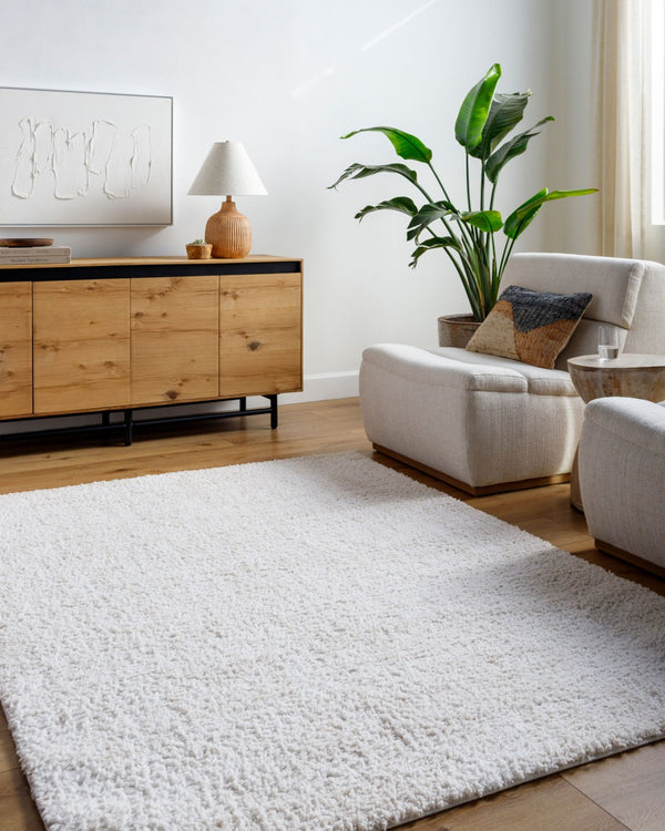 Livabliss Sacramento Shag Plush Polyester Area Rug Mid Century Modern Style for Living Rooms White, Oatmeal 7'10" x 10' SCS2302-71010