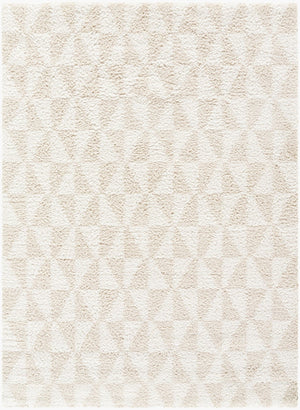 Livabliss Sacramento Shag Plush Polyester Area Rug Mid-century Modern Style for Living Room White, Oatmeal 7'10" x 10' SCS2303-71010