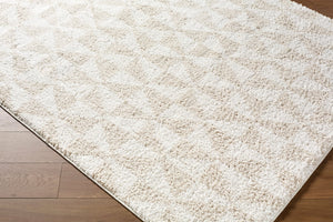 Livabliss Sacramento Shag Plush Polyester Area Rug Mid-century Modern Style for Living Room White, Oatmeal 7'10" x 10' SCS2303-71010