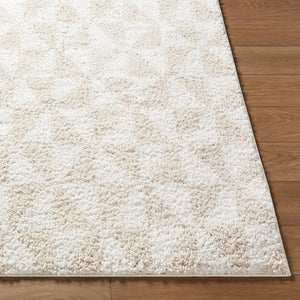 Livabliss Sacramento Shag Plush Polyester Area Rug Mid-century Modern Style for Living Room White, Oatmeal 7'10" x 10' SCS2303-71010