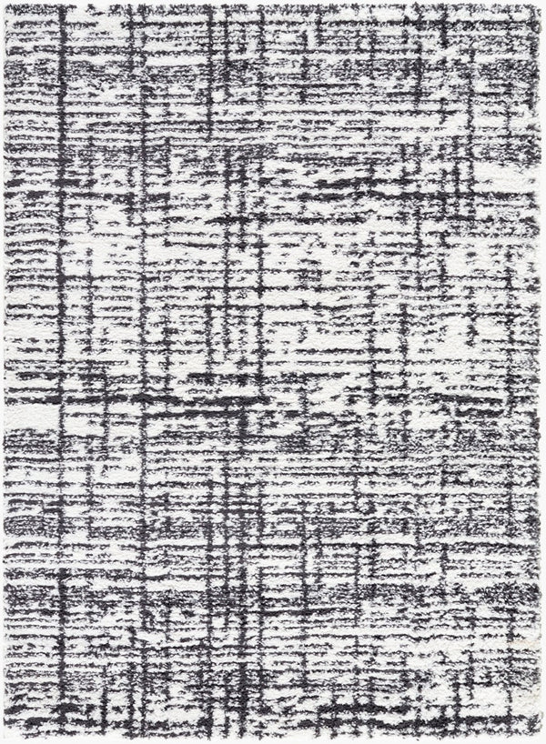 Livabliss Sacramento Shag Polyester Area Rug Turkish Woven Mid-century Plush Pile Living Room White, Black 5'3" x 7' SCS2304-537