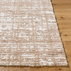 Livabliss Sacramento Shag Plush Polyester Area Rug for Living Room Bedroom Mid-century Modern Decor White, Tan 5'3" x 7' SCS2305-537