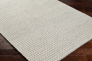 Livabliss Sundance Handwoven Geometric Area Rug Wool Blend Earthy Tones for Large Living Spaces Ivory, Dove Gra 9' x 12' SDC2304-912