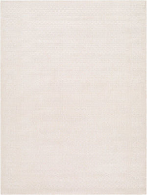 Livabliss Sandra Flatweave Polypropylene Area Rug Woven in Turkey for Indoor Outdoor Living Beige, Cream 5'3" x 7' SDR2302-537