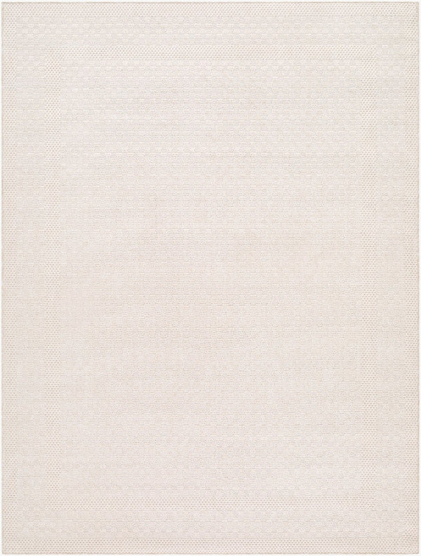 Livabliss Sandra Flatweave Polypropylene Area Rug Woven in Turkey for Indoor Outdoor Living Beige, Cream 5'3" x 7' SDR2302-537