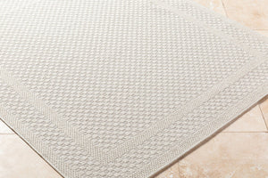 Livabliss Sandra Flatweave Polypropylene Area Rug Woven in Turkey for Indoor Outdoor Living Beige, Cream 5'3" x 7' SDR2302-537