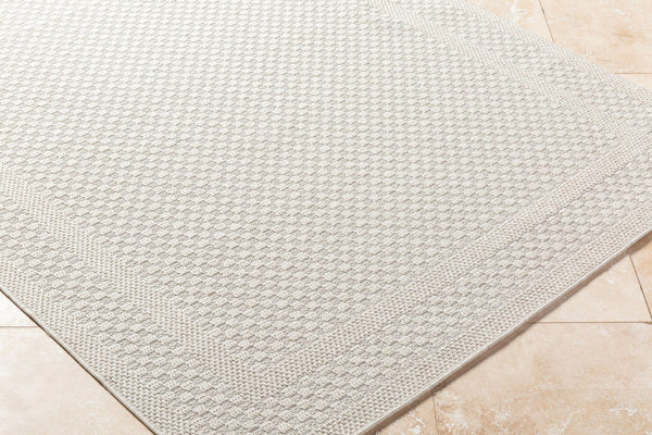 Livabliss Sandra Flatweave Polypropylene Area Rug Woven in Turkey for Indoor Outdoor Living Beige, Cream 5'3" x 7' SDR2302-537