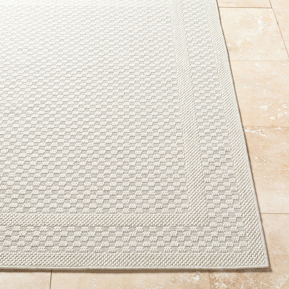 Livabliss Sandra Flatweave Polypropylene Area Rug Woven in Turkey for Indoor Outdoor Living Beige, Cream 5'3" x 7' SDR2302-537
