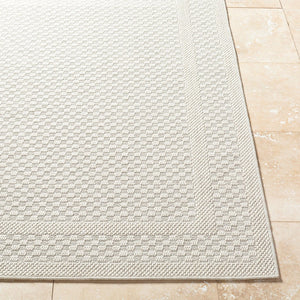 Livabliss Sandra Flatweave Polypropylene Area Rug Woven in Turkey for Indoor Outdoor Living Beige, Cream 5'3" x 7' SDR2302-537