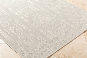 Livabliss Sandra Flatweave Polypropylene Area Rug Turkish Woven for High Traffic Indoor Outdoor Spaces Beige, Cream 5'3" x 7' SDR2303-537