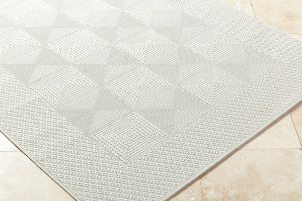 Livabliss Sandra Flatweave Polypropylene Area Rug for High Traffic Indoor Outdoor Spaces Beige, Cream 5'3" x 7' SDR2307-537