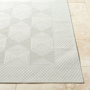 Livabliss Sandra Flatweave Polypropylene Area Rug for High Traffic Indoor Outdoor Spaces Beige, Cream 5'3" x 7' SDR2307-537