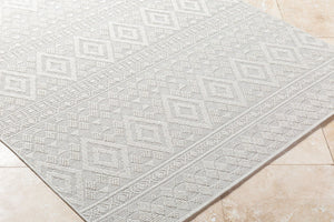 Livabliss Sandra Flatweave Polypropylene Area Rug Turkish Woven Indoor Outdoor Durable Low Pile Beige, Cream 6'7" x 9' SDR2310-679