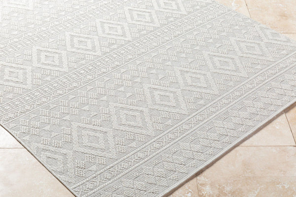 Livabliss Sandra Flatweave Polypropylene Area Rug Turkish Woven Indoor Outdoor Durable Low Pile Beige, Cream 6'7" x 9' SDR2310-679
