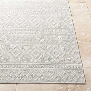 Livabliss Sandra Flatweave Polypropylene Area Rug Turkish Woven Indoor Outdoor Durable Low Pile Beige, Cream 6'7" x 9' SDR2310-679