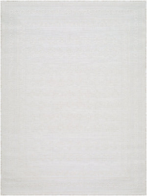 Livabliss Sandra Flatweave Polypropylene Area Rug Turkish Woven Indoor Outdoor Low Profile Beige, Cream 7'10" x 10' SDR2311-71010