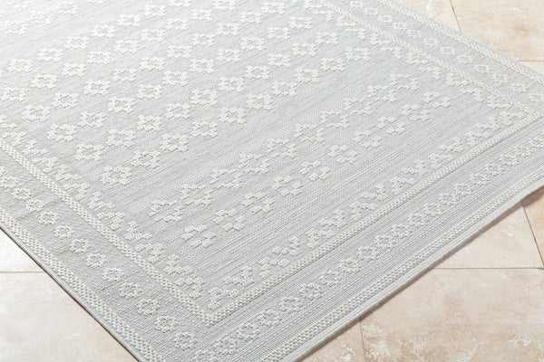 Livabliss Sandra Flatweave Polypropylene Area Rug Turkish Woven Indoor Outdoor Low Profile Beige, Cream 7'10" x 10' SDR2311-71010