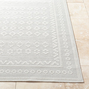 Livabliss Sandra Flatweave Polypropylene Area Rug Turkish Woven Indoor Outdoor Low Profile Beige, Cream 7'10" x 10' SDR2311-71010