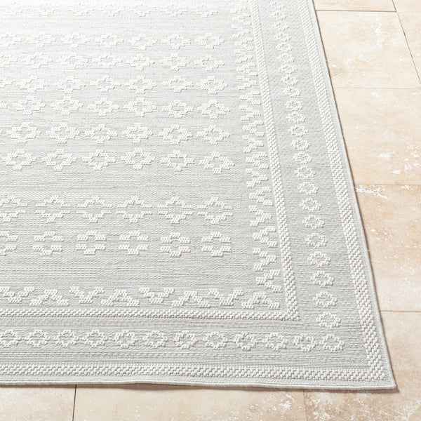 Livabliss Sandra Flatweave Polypropylene Area Rug Turkish Woven Indoor Outdoor Low Profile Beige, Cream 7'10" x 10' SDR2311-71010