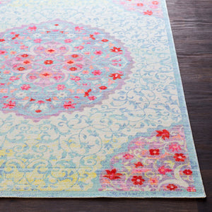 Livabliss Seasoned Treasures Traditional Polyester Accent Rug Low Pile Entryway Woven SDT2300-23