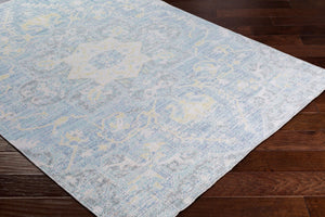 Livabliss Seasoned Treasures Traditional Low Pile Polyester Accent Rug for Entryway or Bath SDT2306-23