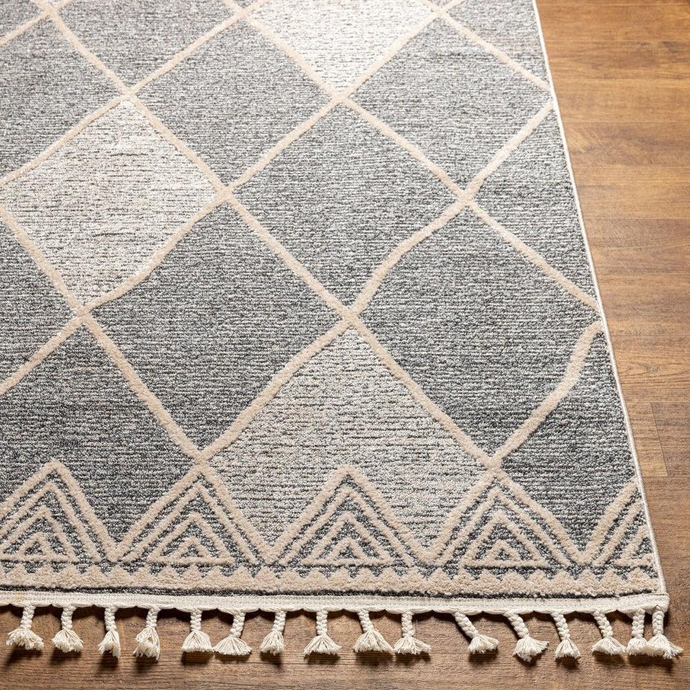 Livabliss Sofia Global Bohemian Fringe Area Rug Polypropylene Machine Woven Living Room Accent SFA2307-9212
