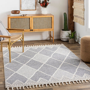 Livabliss Sofia Global Bohemian Fringe Area Rug Polypropylene Machine Woven Living Room Accent SFA2307-9212