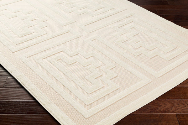 Livabliss San Diego Polypropylene Area Rug Machine Woven Indoor Outdoor Living Room Accent SFG2336-679