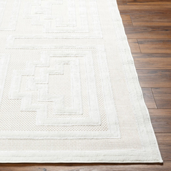 Livabliss San Diego Polypropylene Area Rug Machine Woven Indoor Outdoor Living Room Accent SFG2336-679