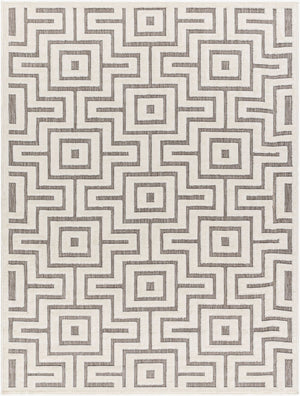 Livabliss San Diego Geometric Polypropylene Area Rug Indoor Outdoor Medium Pile Modern SFG2347-537
