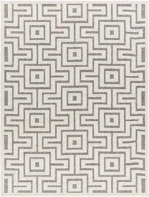 San Diego SFG-2347 7'10" x 10' Machine Woven Rug SFG2347-71010 Livabliss Surya