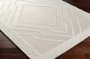 Livabliss San Diego Scandinavian Modern Polypropylene Area Rug for Living Room or Patio SFG2356-9212
