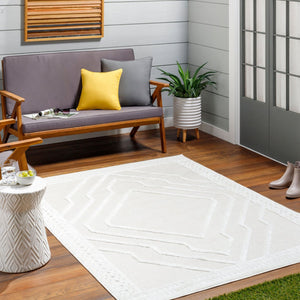 Livabliss San Diego Scandinavian Modern Polypropylene Area Rug for Living Room or Patio SFG2356-9212