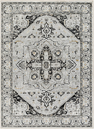 Livabliss San Francisco Traditional Turkish Polypropylene Area Rug for Living and Dining Rooms SFO2328-9212