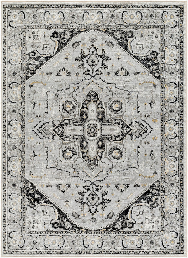 Livabliss San Francisco Traditional Turkish Polypropylene Area Rug for Living and Dining Rooms SFO2328-9212