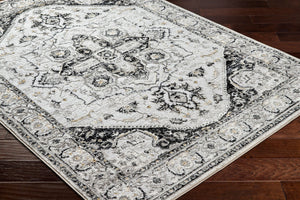 Livabliss San Francisco Traditional Turkish Polypropylene Area Rug for Living and Dining Rooms SFO2328-9212