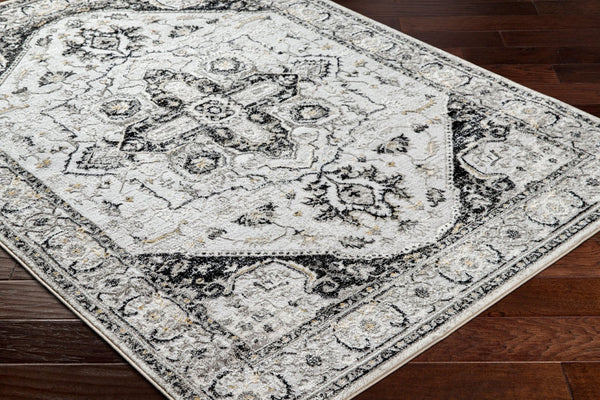 Livabliss San Francisco Traditional Turkish Polypropylene Area Rug for Living and Dining Rooms SFO2328-9212
