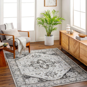 Livabliss San Francisco Traditional Turkish Polypropylene Area Rug for Living and Dining Rooms SFO2328-9212