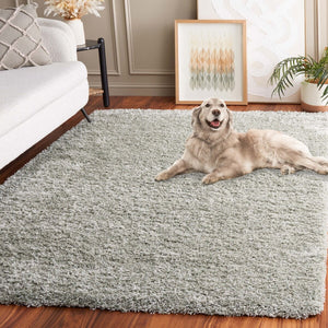 Safavieh New York Shag 165 Power Loomed  Rug Sage / Sage SG165-4747-5