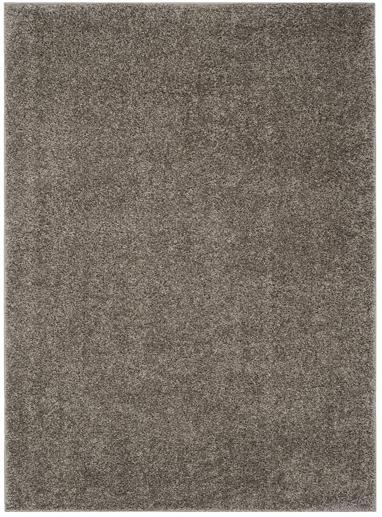Safavieh New York Shag 166 Flat Weave Indoor / Outdoor : Bohemian Rug Grey SG166C-4