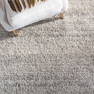 Safavieh Hudson Shag 295 Power Loomed Polypropylene Shag Rug Ivory / Grey SGH295B-6
