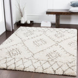 Serengeti Shag SGT-2301 5'3" x 7'3" Machine Woven Rug SGT2301-5373 Livabliss Surya