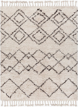 Surya Sherpa Handmade 2' X 3' Rug - Global Elegance With Plush Pile, Durable Wool Design For Any Room Beige Wool Shp8000-810
