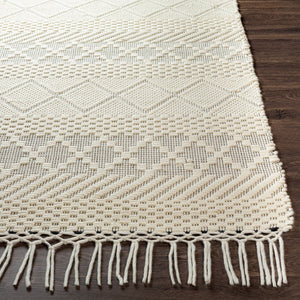 Livabliss Saint Clair Hand Woven New Zealand Wool Rug with Fringe and High Low Pile Texture Cream, Black 2'6" x 4' SIC2303-264
