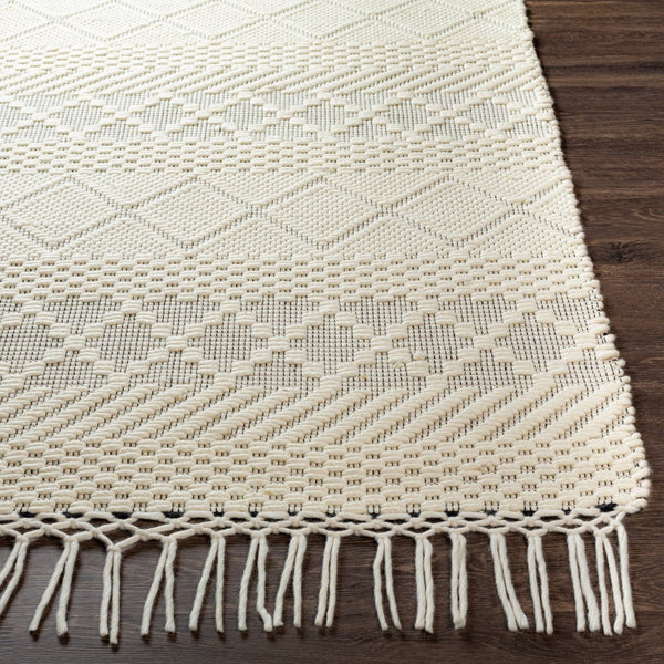 Livabliss Saint Clair Hand Woven New Zealand Wool Rug with Fringe and High Low Pile Texture Cream, Black 2'6" x 4' SIC2303-264