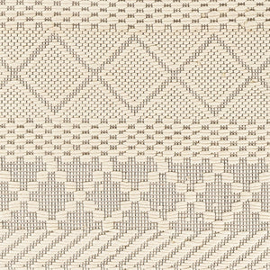 Livabliss Saint Clair Hand Woven New Zealand Wool Rug with Fringe and High Low Pile Texture Cream, Black 2'6" x 4' SIC2303-264