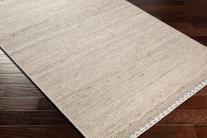 Livabliss Sadie Handwoven Wool Flatweave Area Rug for High Traffic Living and Dining Spaces Tan, Light Beig 2' x 3' SID2300-23